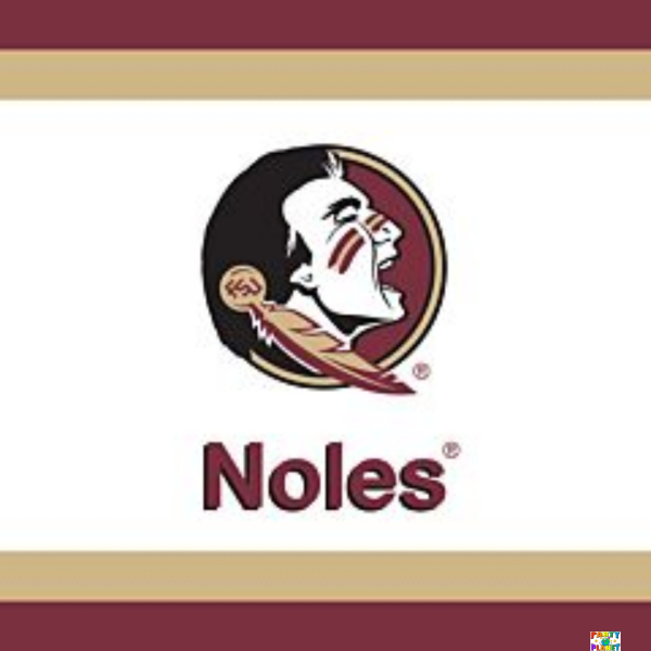Florida State Napkins 20ct.