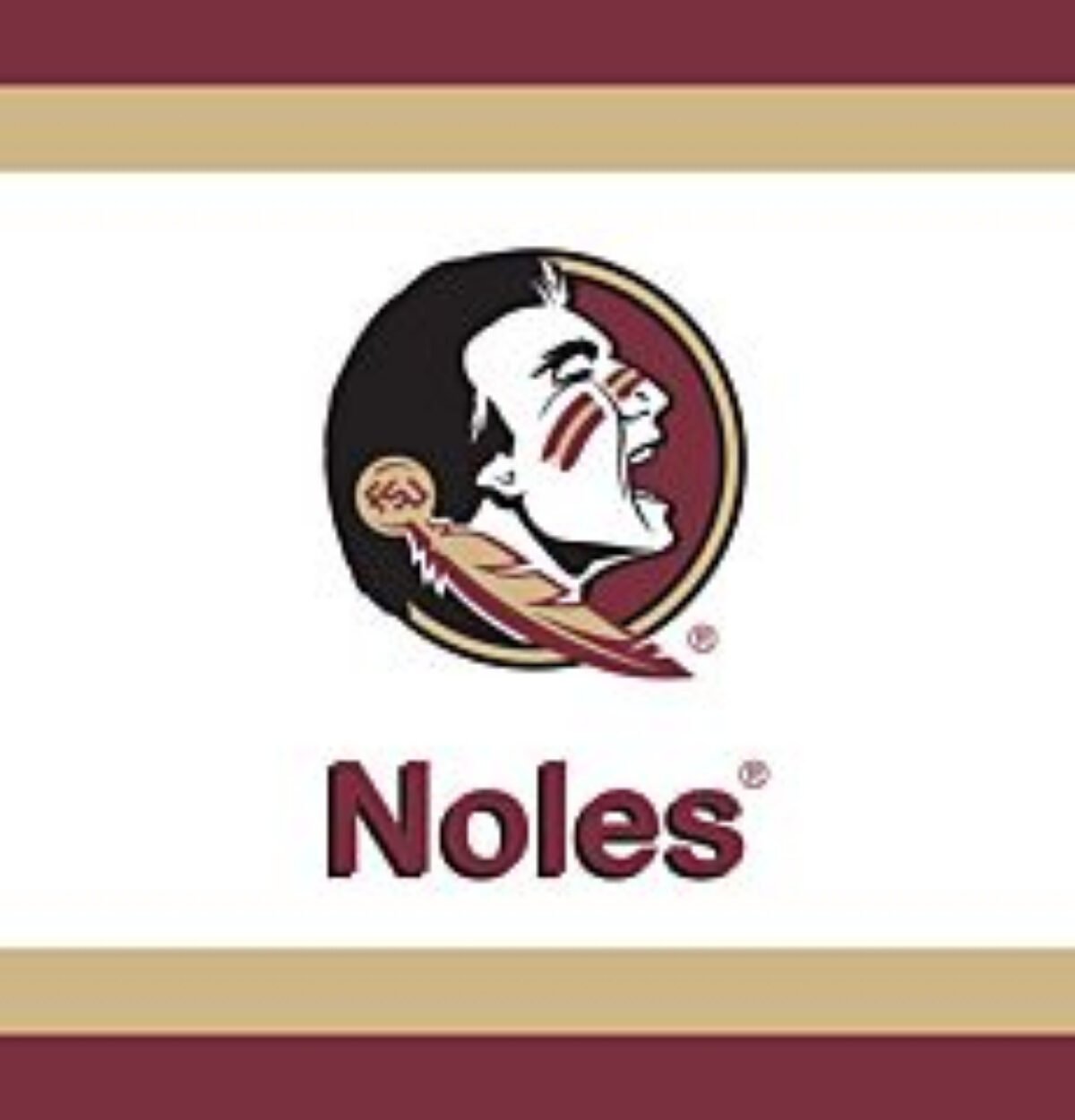 Florida State Beverage Napkins 24ct. FSU