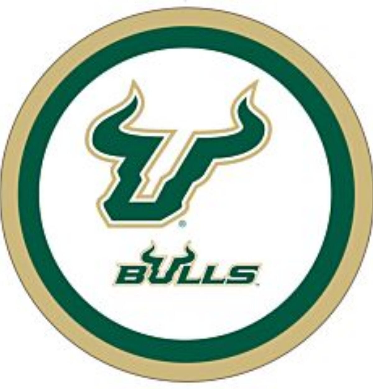 South Florida 9in Plates USF