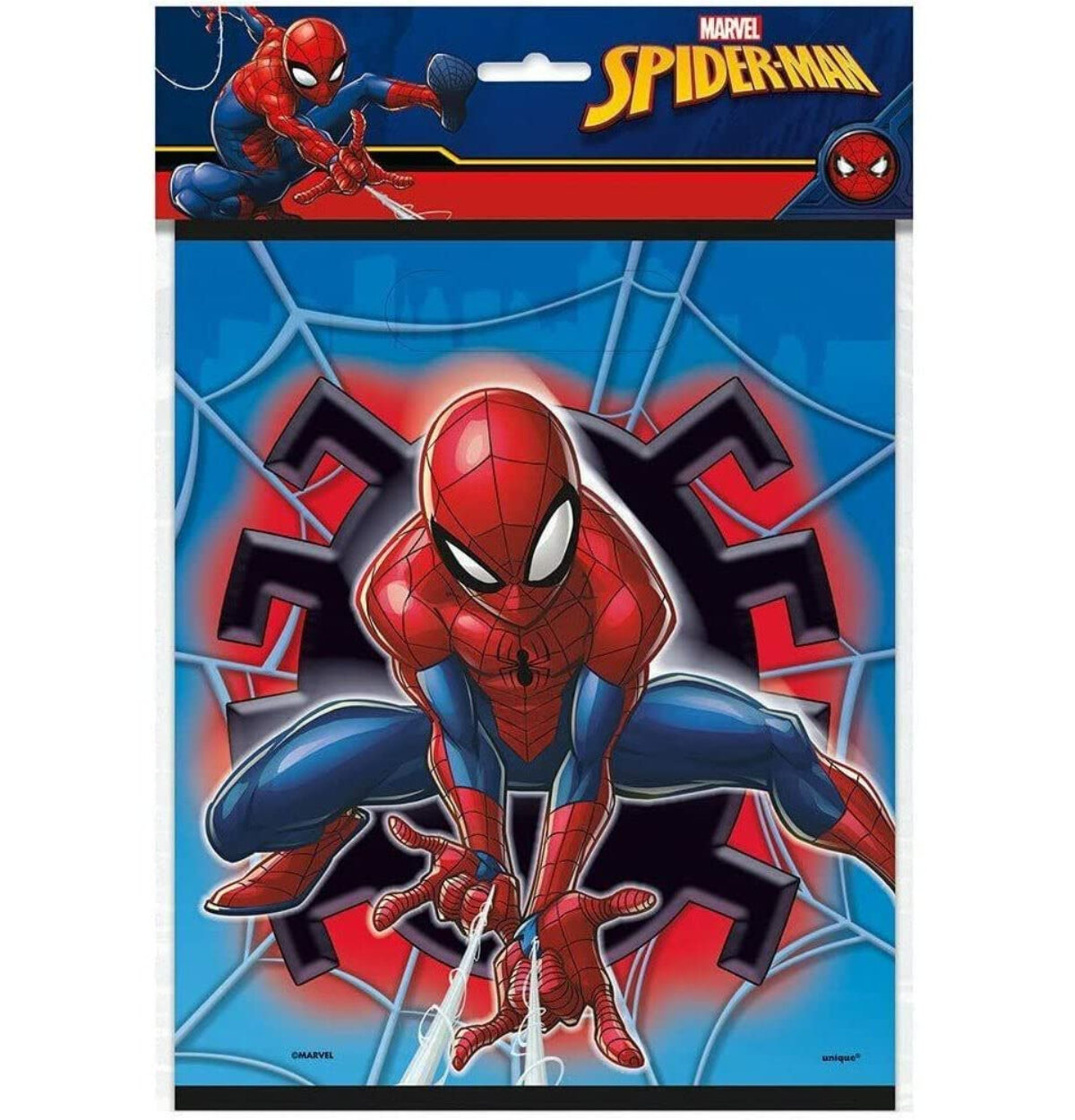 SpiderMan Treat Bag