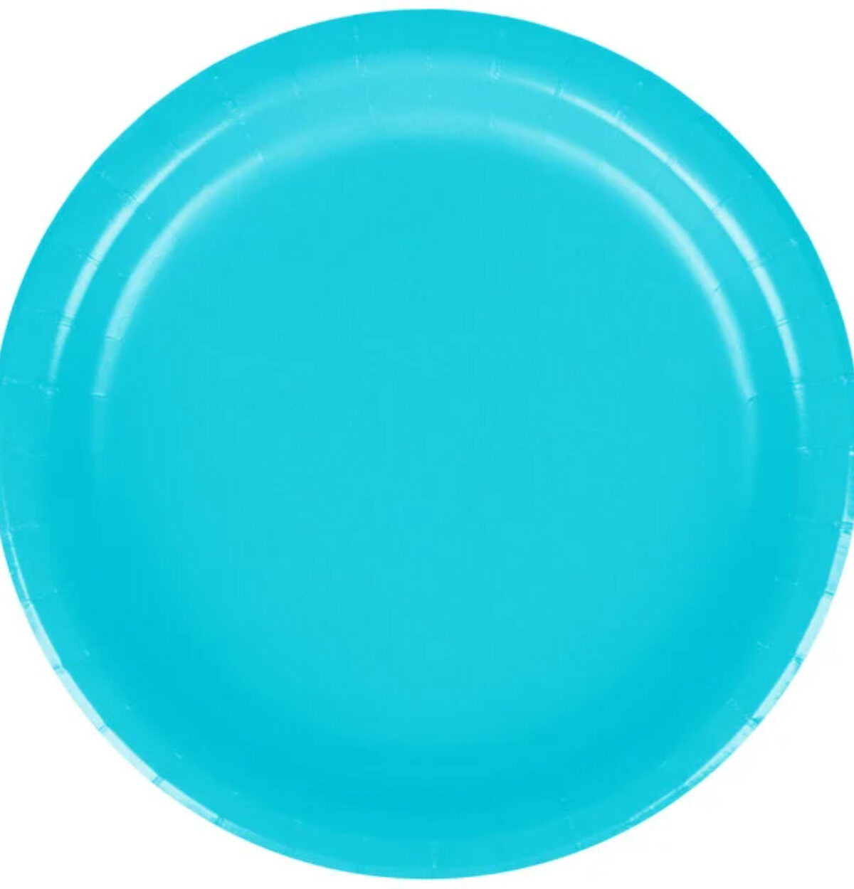 Bermuda Blue 9" Paper Plates 24ct.