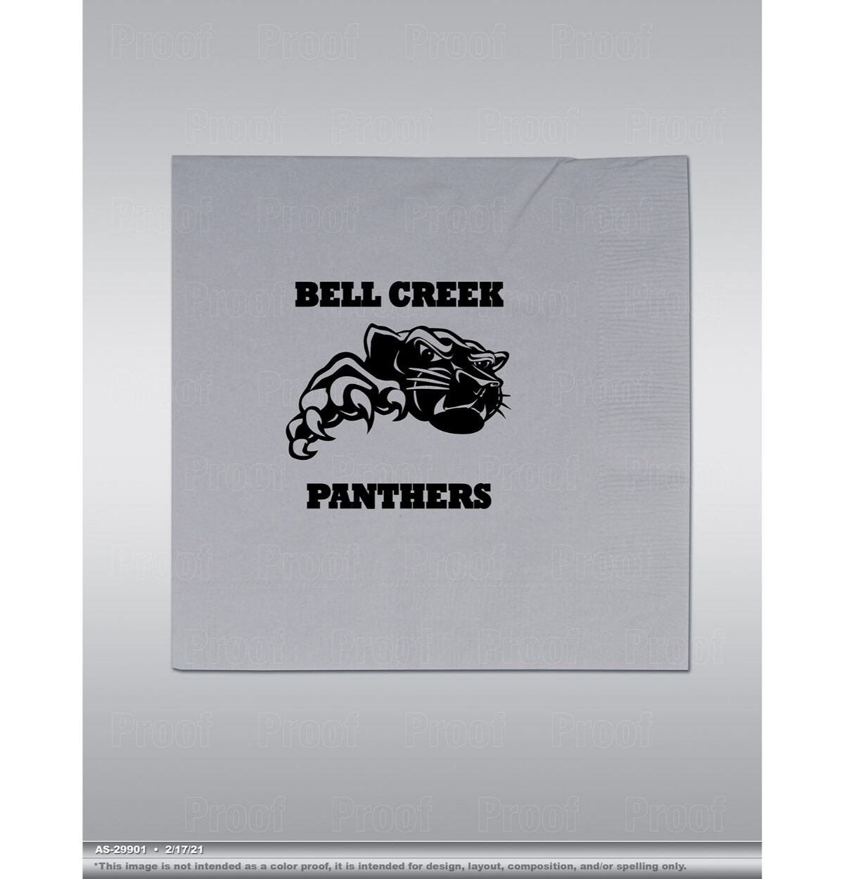 Bell Creek Academy Custom Printed Napkins 16ct.
