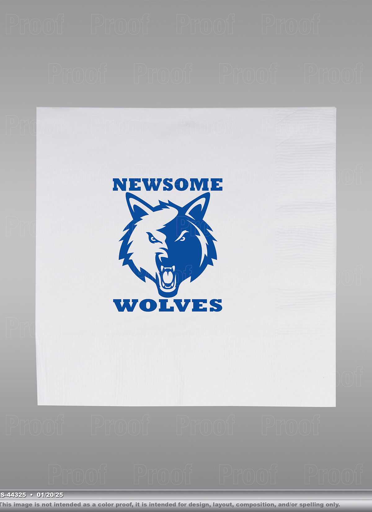 Newsome High School Custom Printed Napkins 16ct.