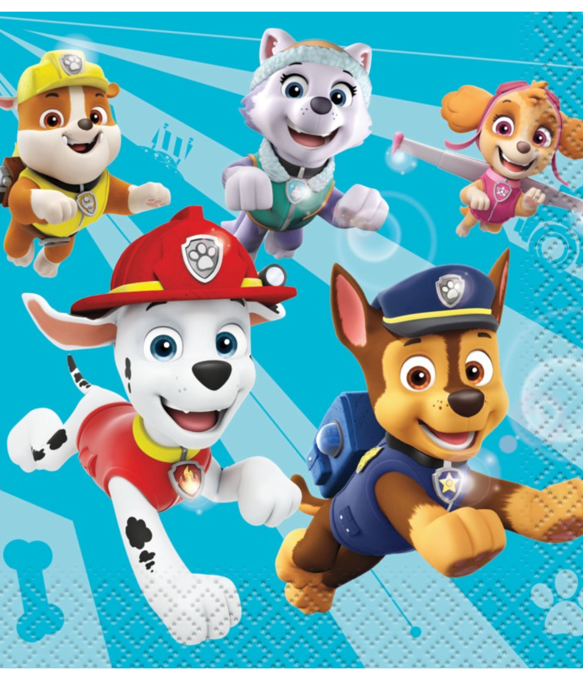 Paw Patrol Beverage Napkins 16ct
