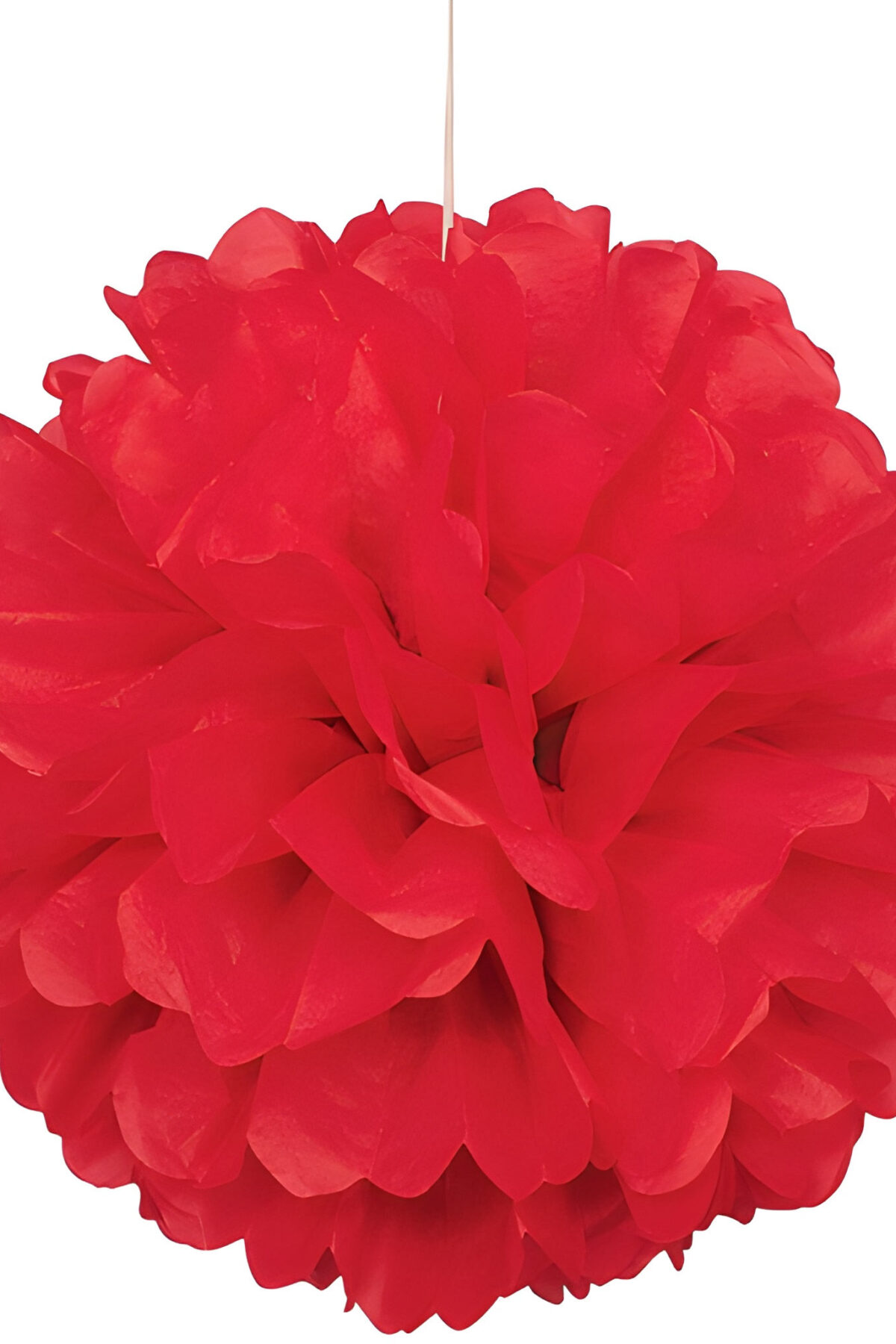 Red Puff Ball