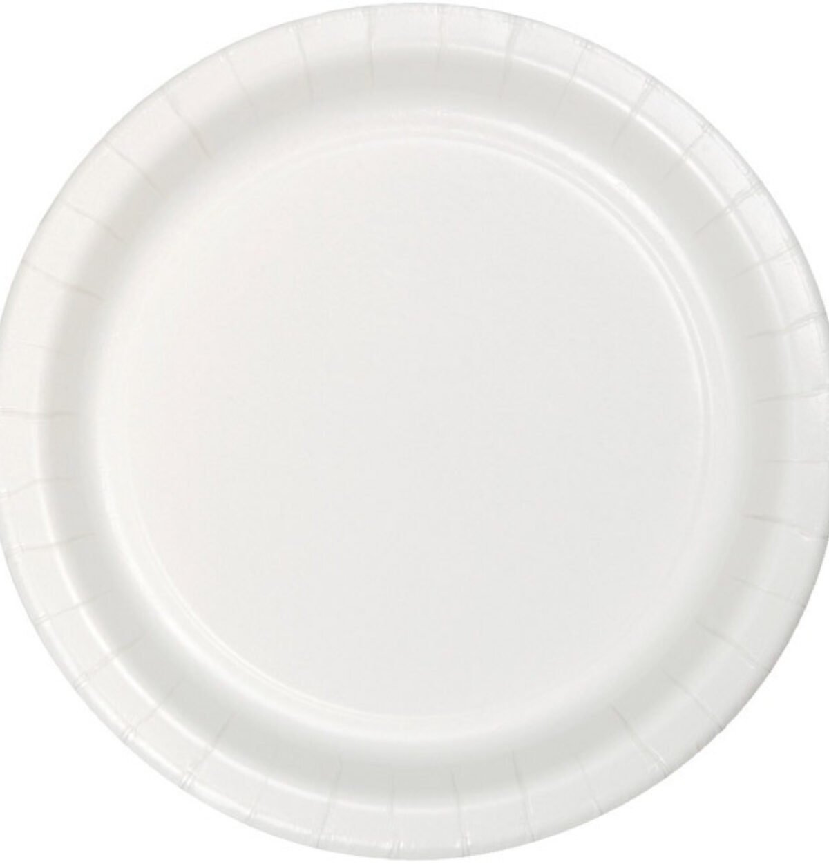 White 10.25" Paper Plates 24ct.
