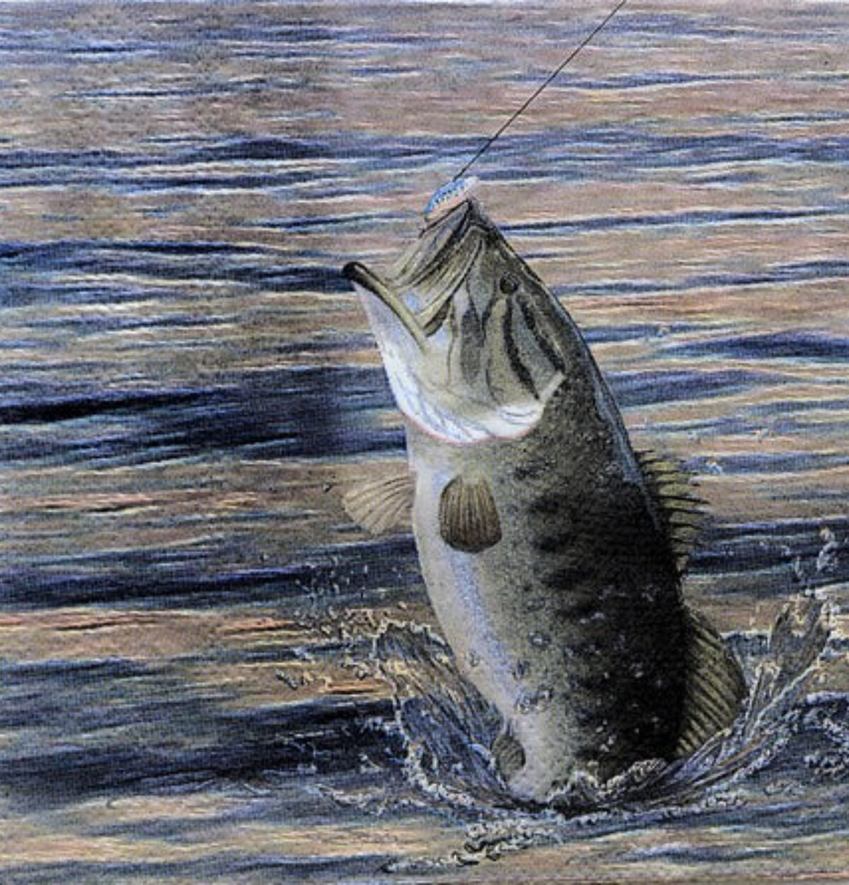 Gone Fishin' Beverage Napkins 16PK