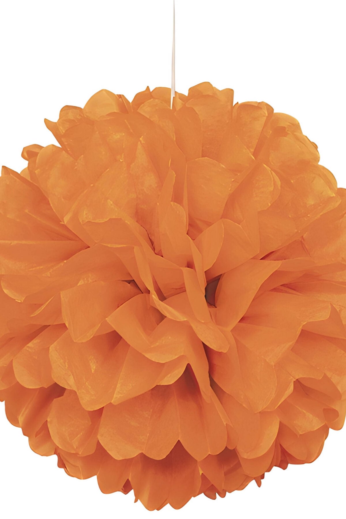 Pumpkin Orange Puff Ball