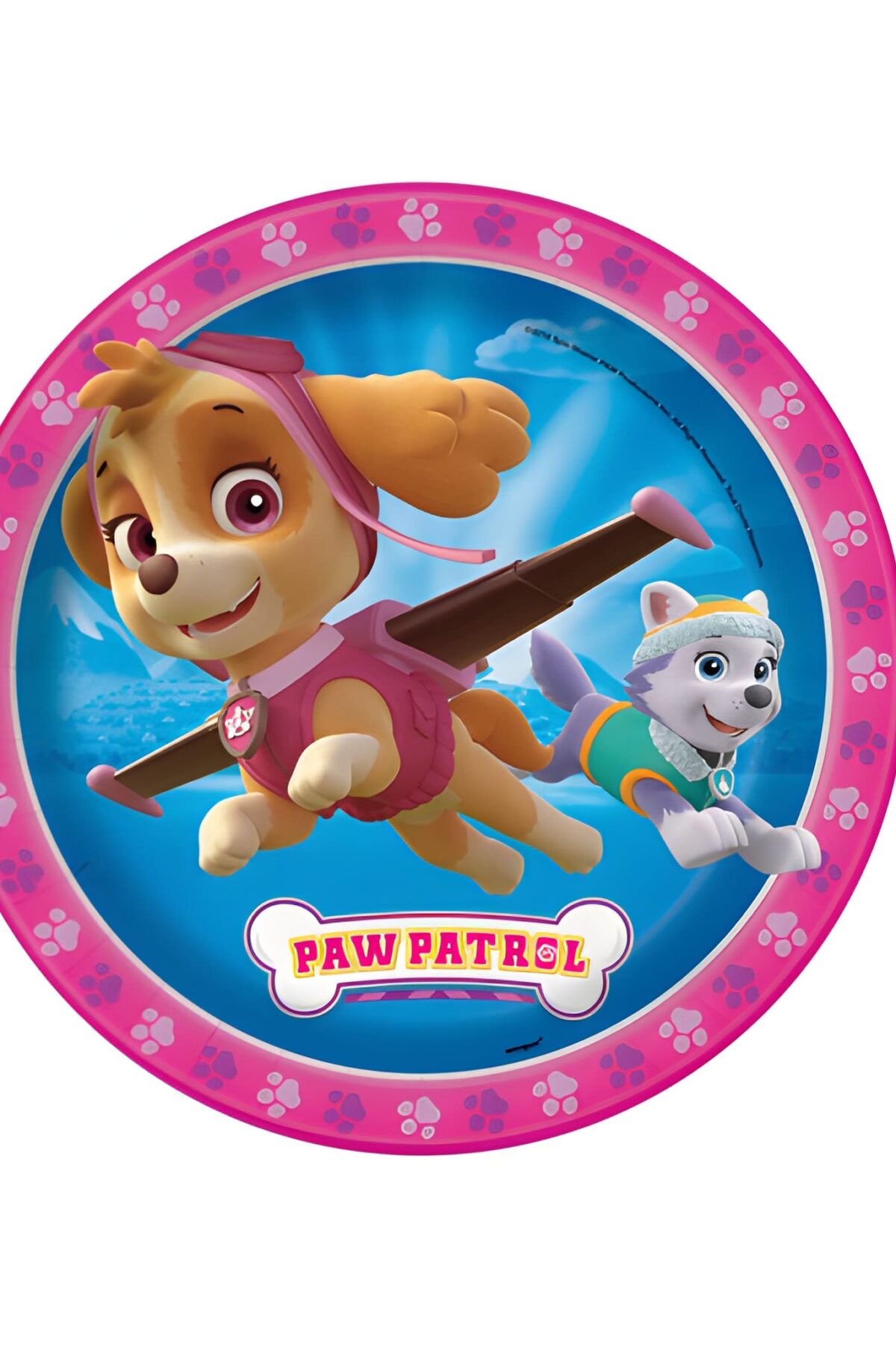 Paw Patrol Girl Round 7" Dessert Plates 8ct