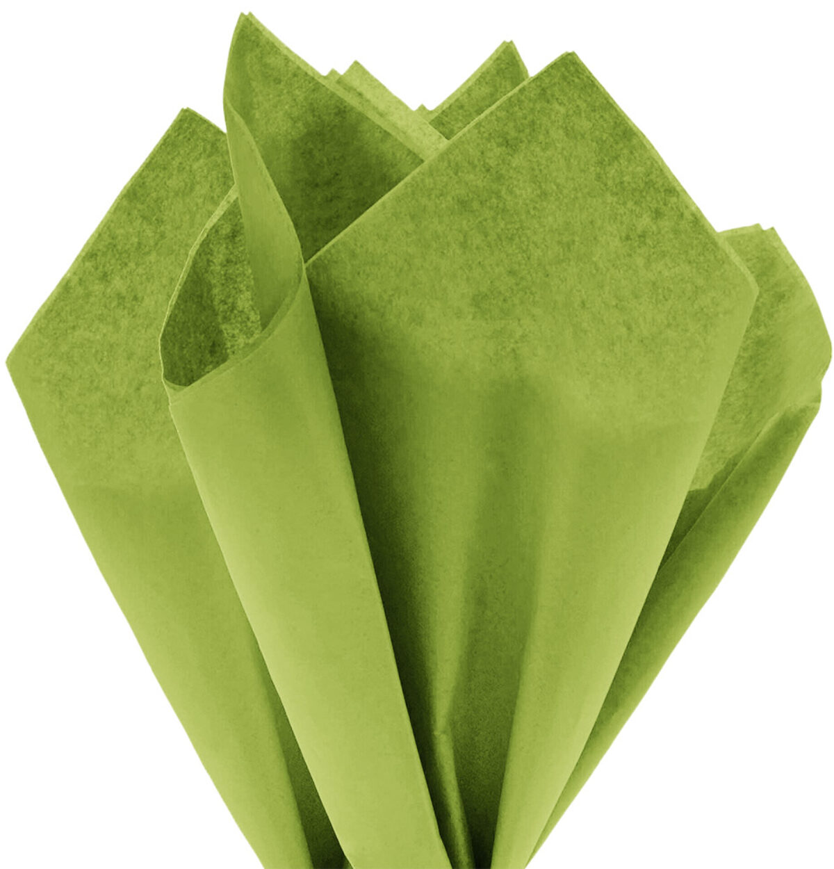 Kelly Green Tissue Paper 10CT.