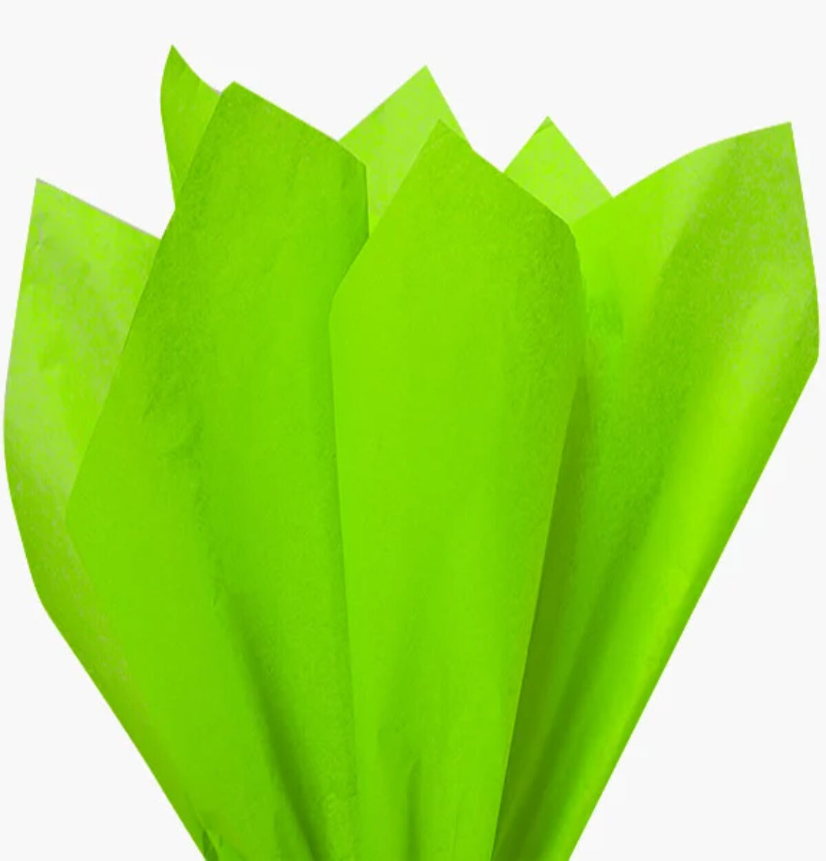 Tissue Paper - Lime Green 10ct.