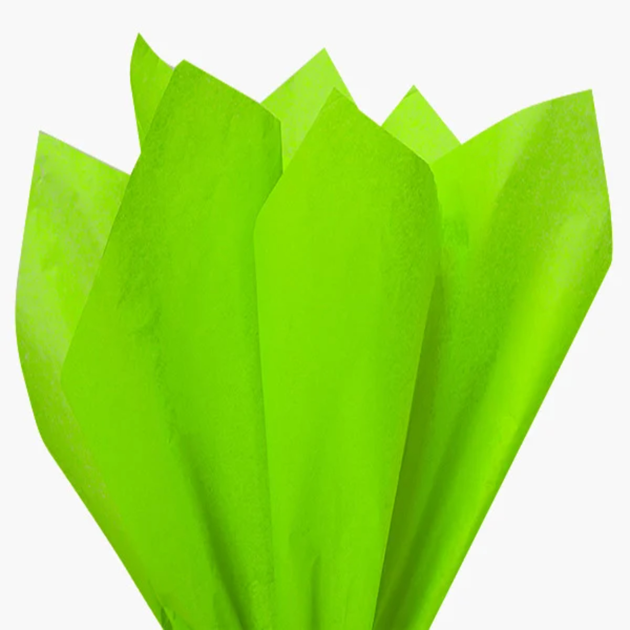 CT1BL-XLARGE-jpg.jpg Tissue Paper - Lime Green 10ct. - Image 1