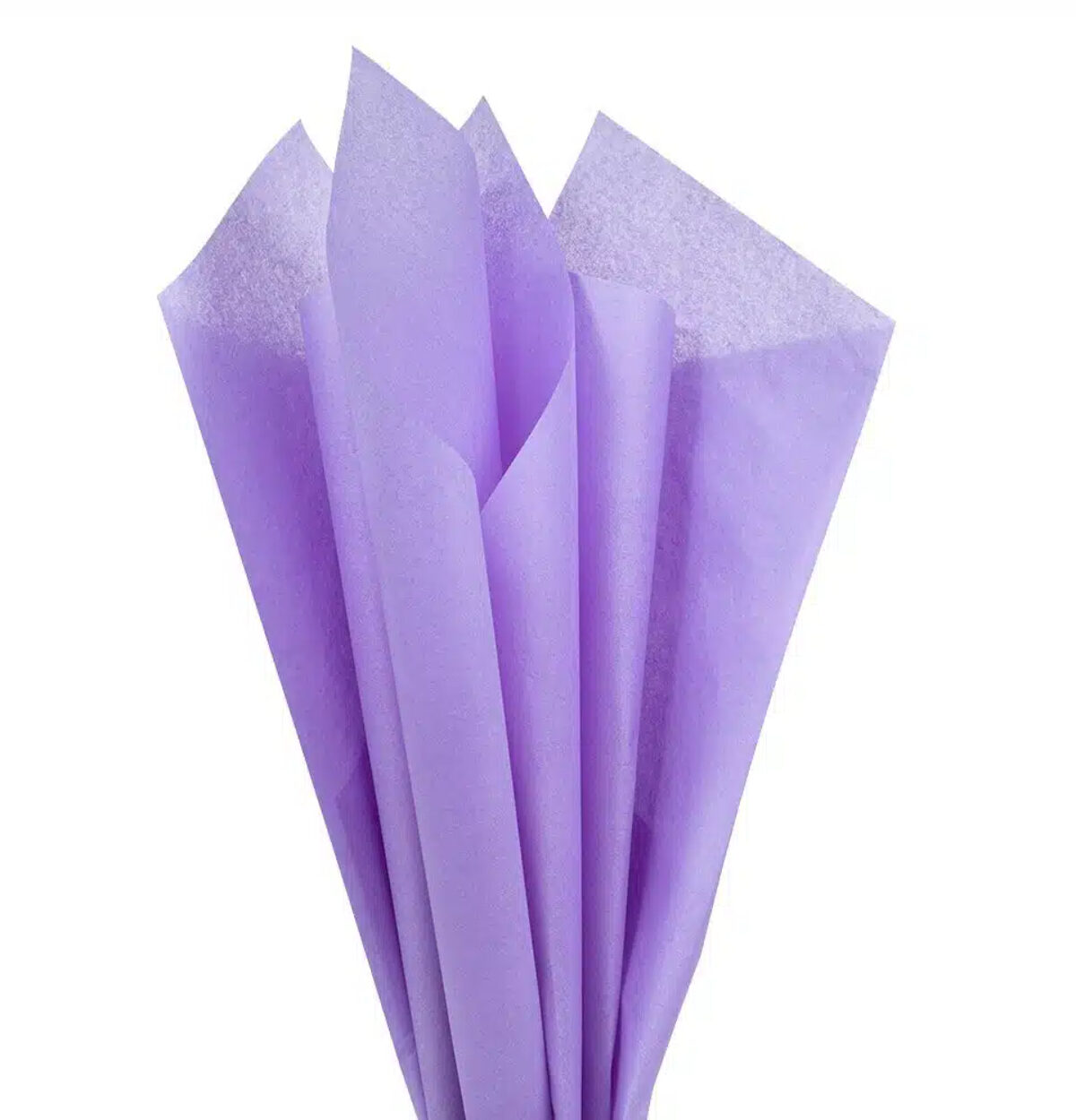 Purple Solid Tissue Paper 10pc