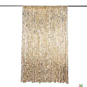 **RENTAL** Big Payette Sequin Backdrop 8FT X 8FT