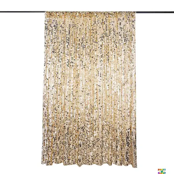 **RENTAL** Big Payette Sequin Backdrop 8FT X 8FT