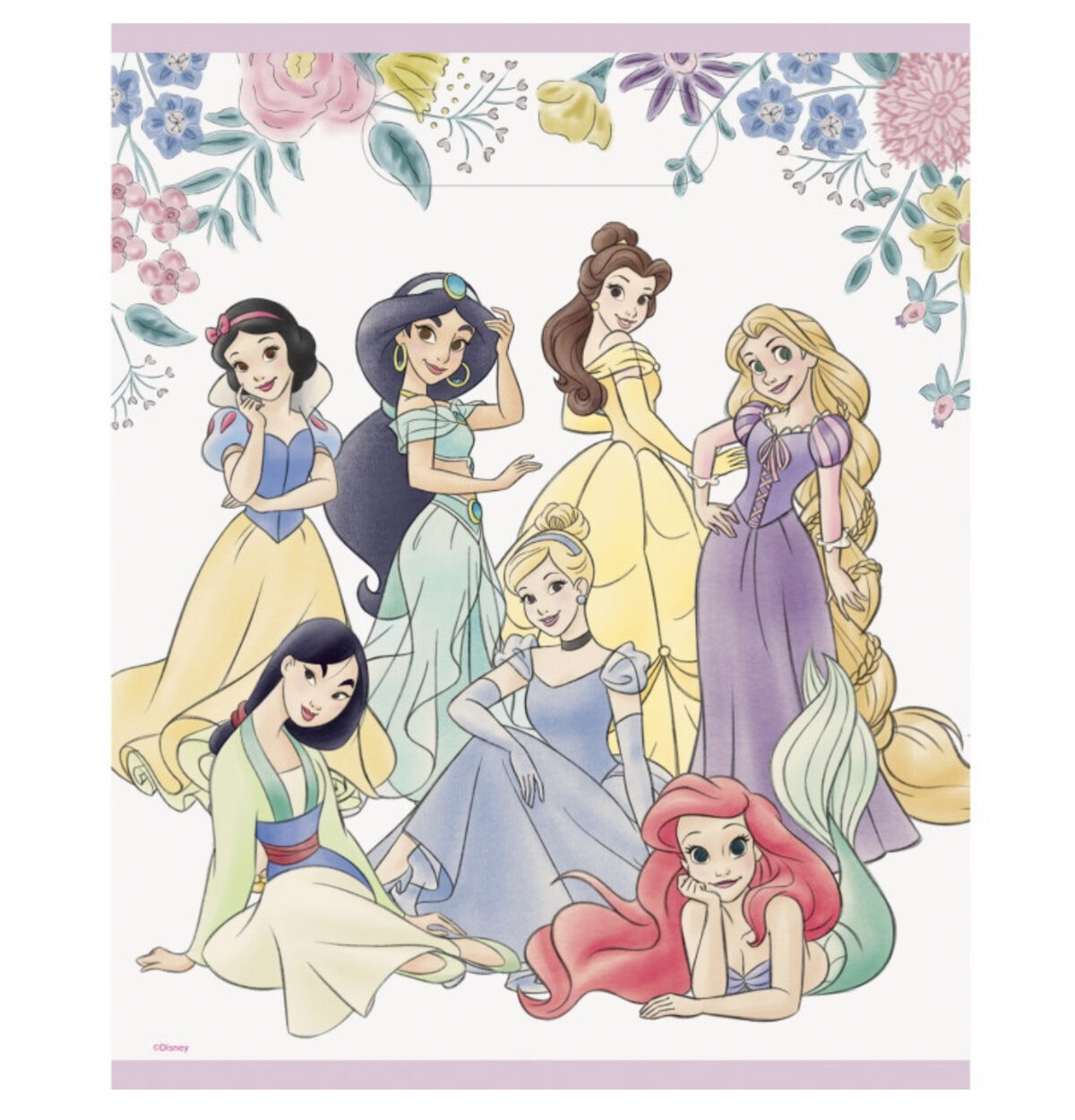 Disney Princess Loot Bags 8ct.